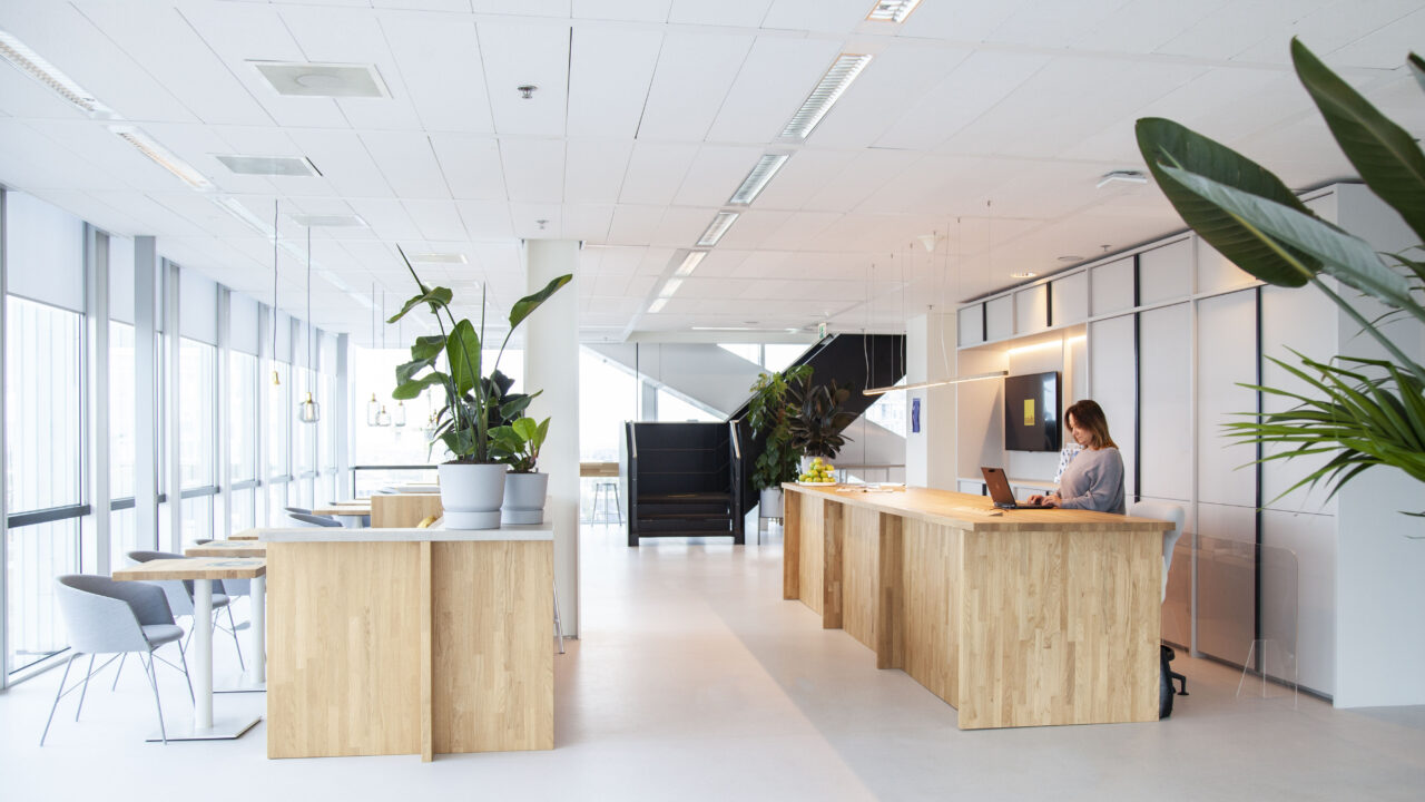 Tax Consultants International