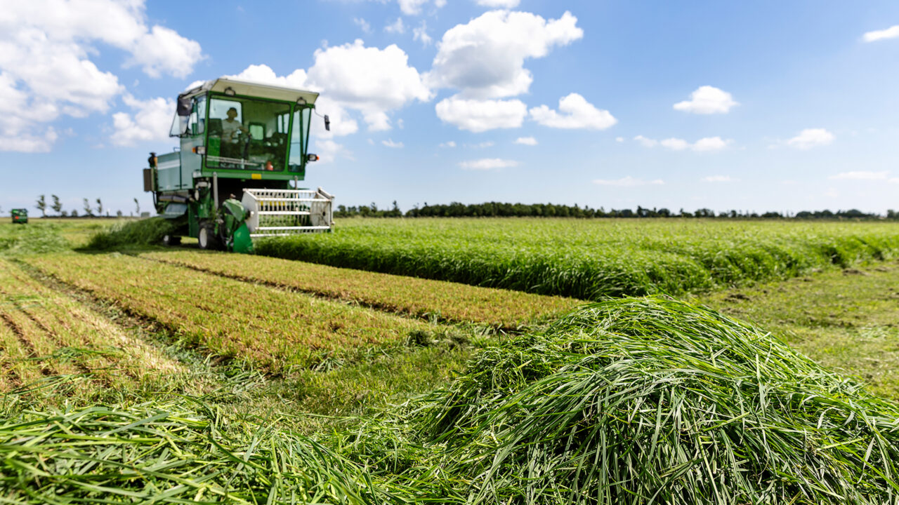 Proefveldmedewerker - DLF Group