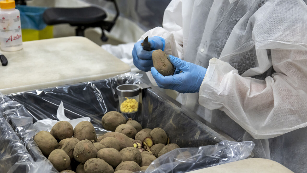 Senior Analist Laboratorium Aardappelen (tijdelijk) - NAK
