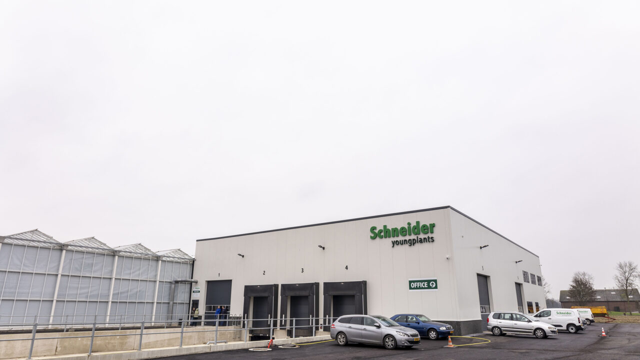 Tax Consultants International