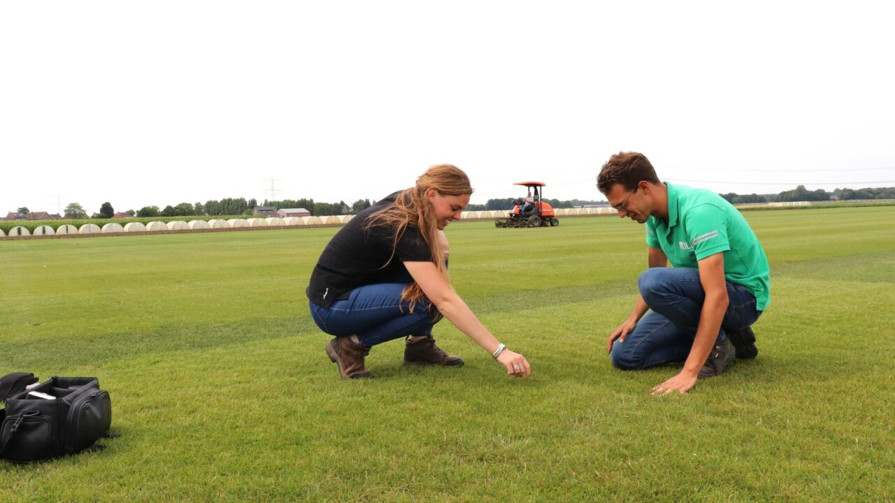 Turf Specialist Benelux - DLF Group