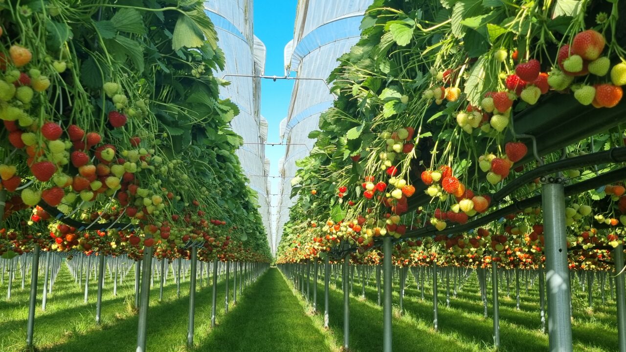 Koninklijke Metaalunie